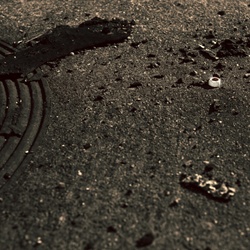 dailyPhoto5